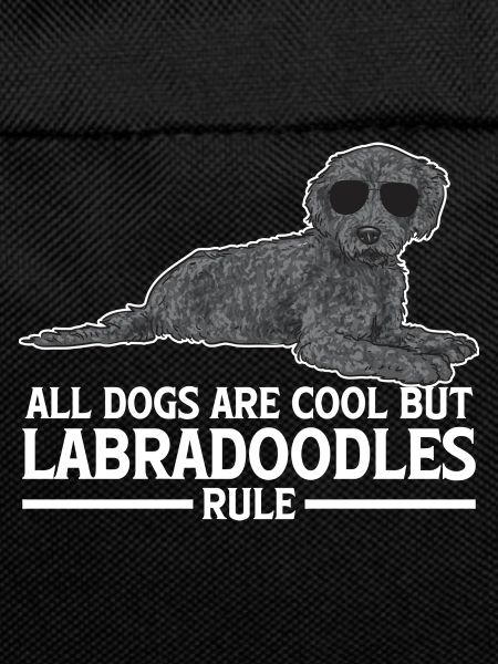 Labradoodle Hund