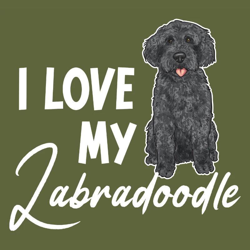 Labradoodle Chien