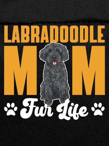 Labradoodle Chien