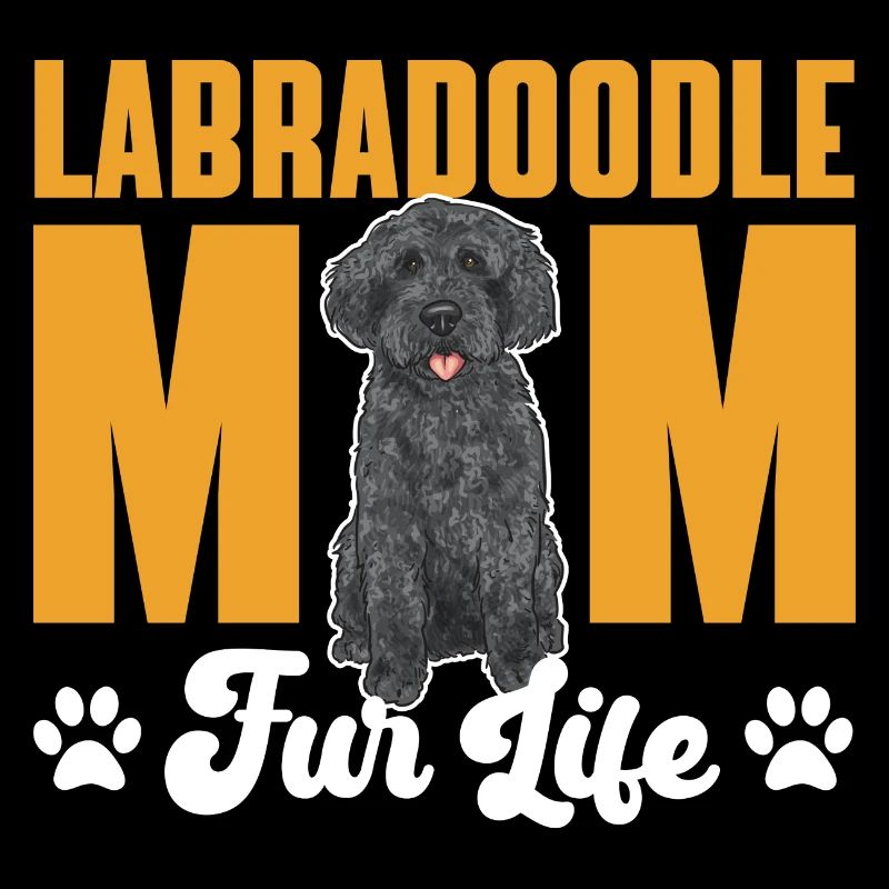 Labradoodle Hund