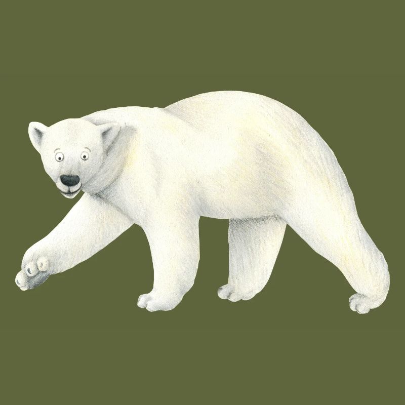 Icebear