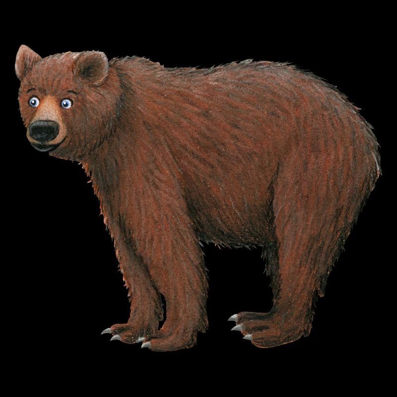 brown bear