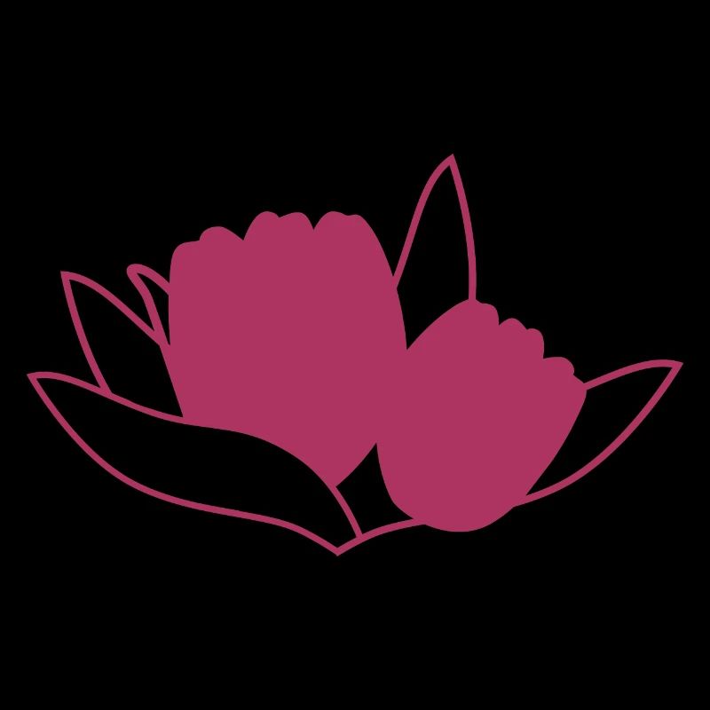 Tulipe Rosa