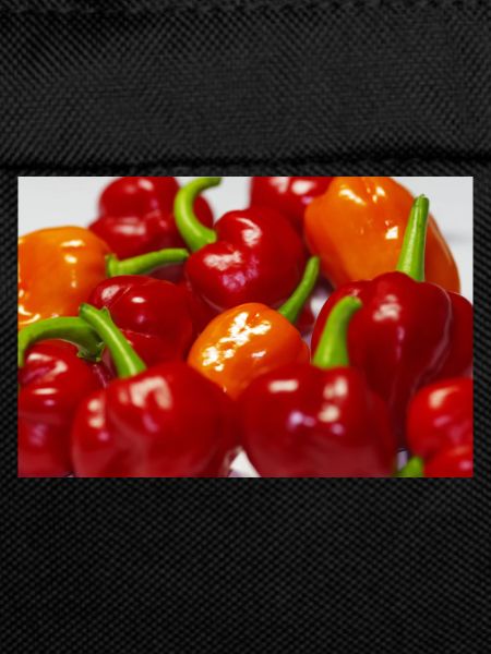 Habanero
