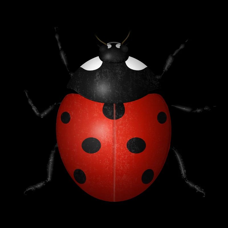 Ladybird