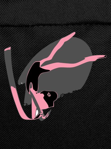 The gymnast