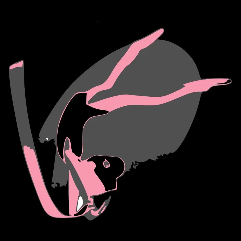 The gymnast