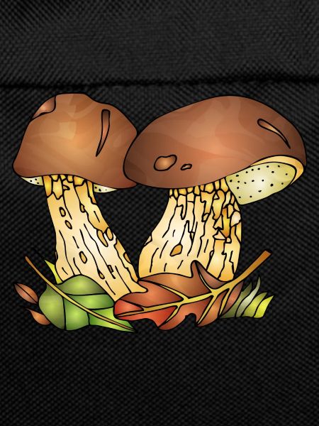 Fungi