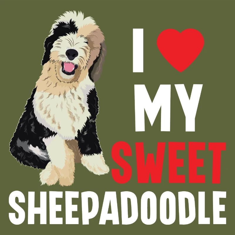Sheepadoodle Doodle Hund