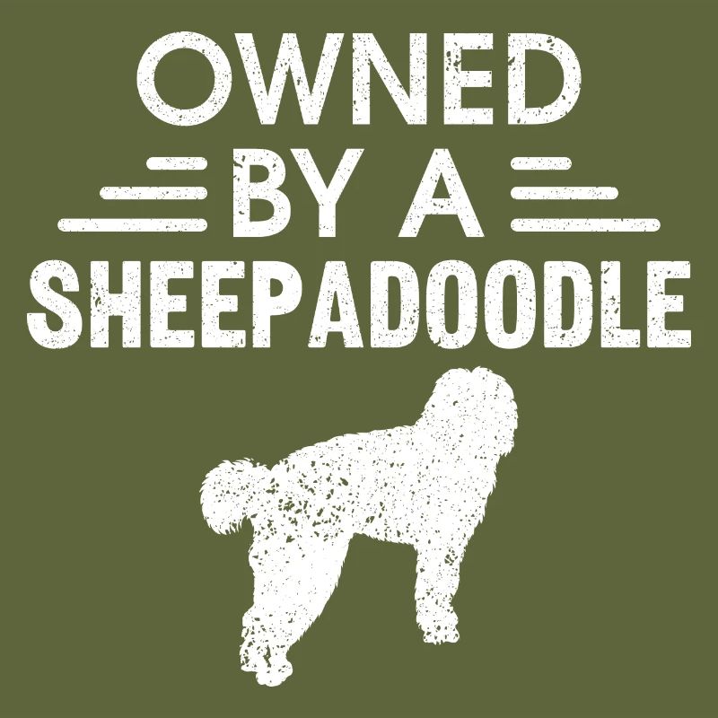 Sheepadoodle Doodle Dog