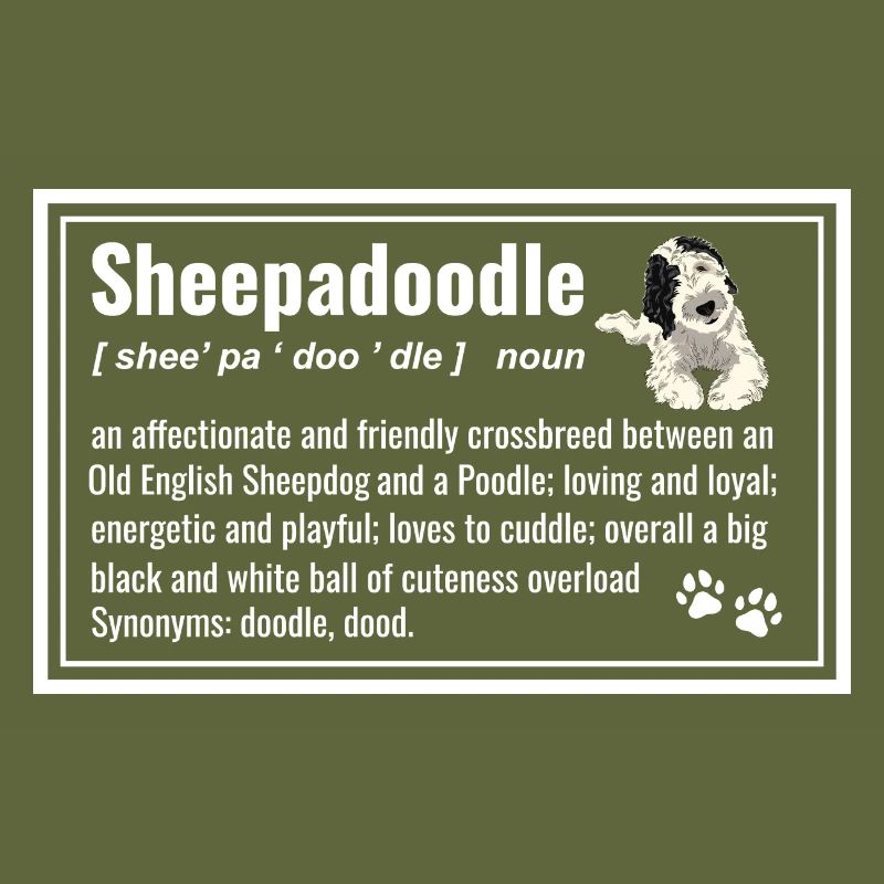 Sheepadoodle Doodle Dog