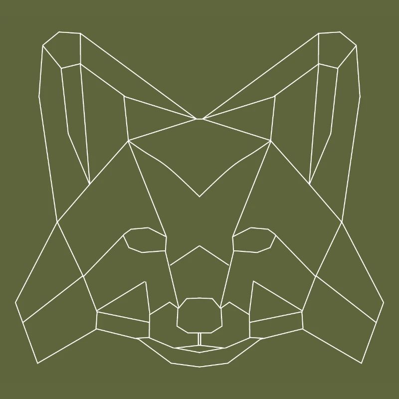 Fuchs polygons white