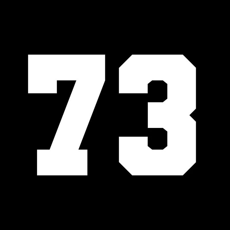 Équipe 73