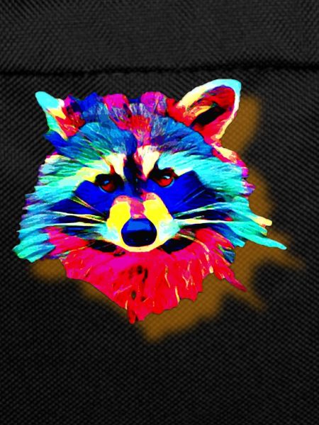 Rainbow Raccoon