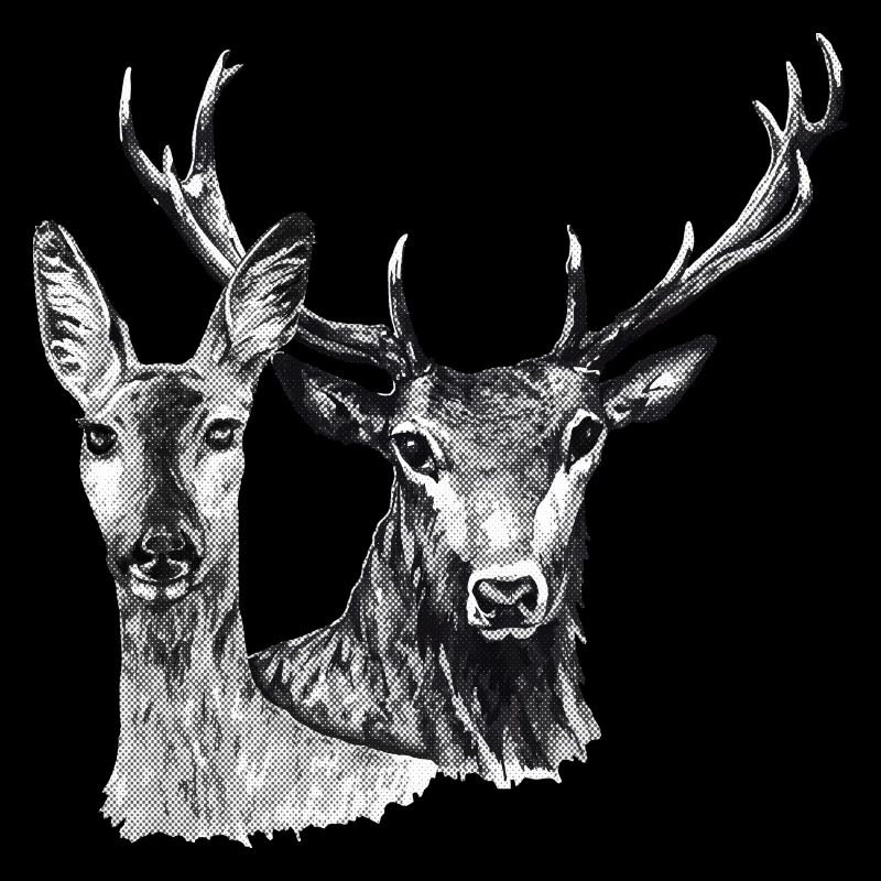 Cerfs et biche