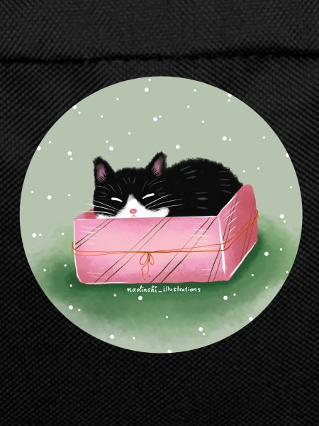 Cat in the box