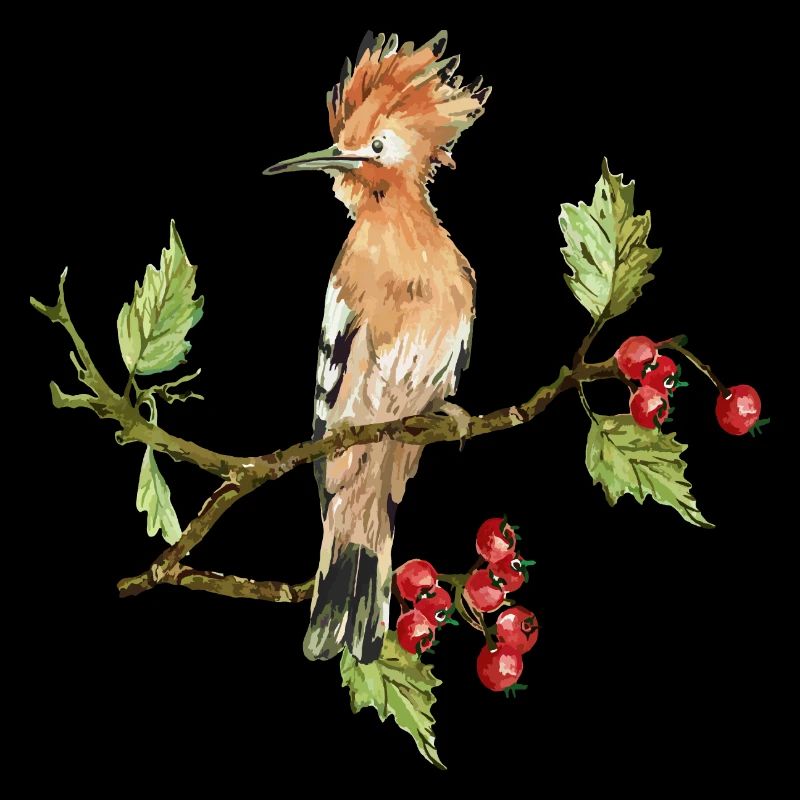 Oiseau coloré