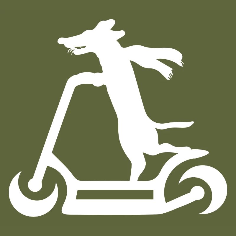 E-Scooter Scooter