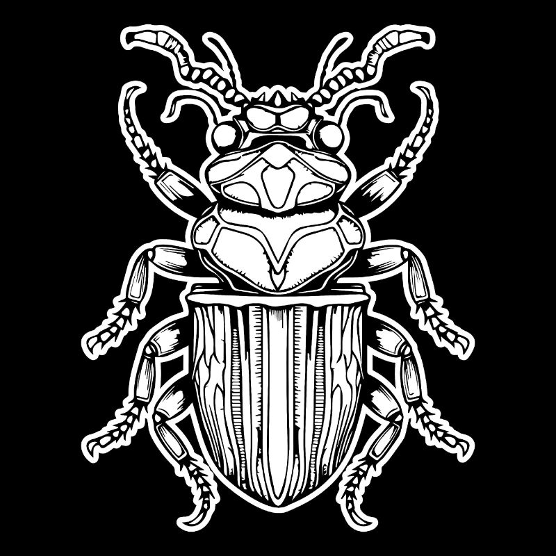 Insectes, bestioles, arthropodes