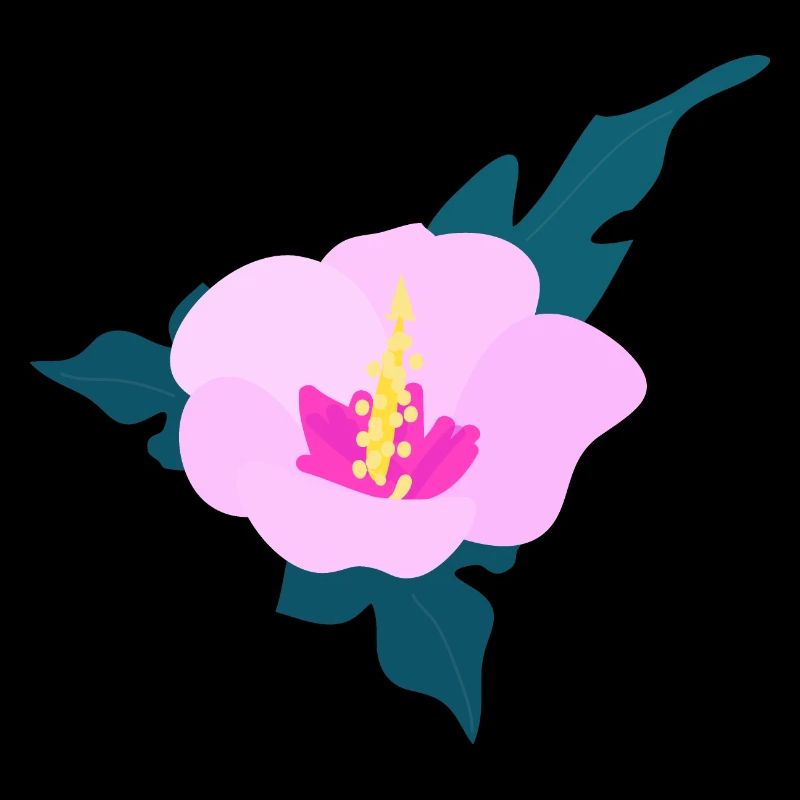 Fleur d’hibiscus 2