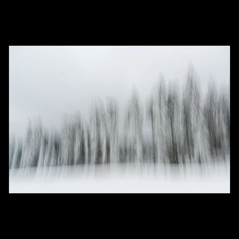 Eine Reihe verschneiter Nadelbäume in einer Winterlandschaft in m