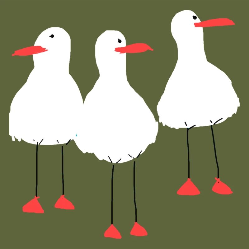 Seagulls