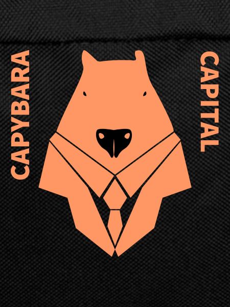 cabybara capital