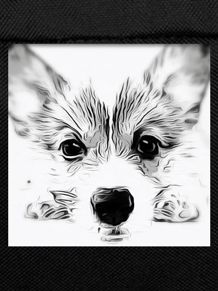 Cute dog