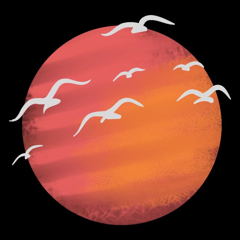 Sun and waterfowl 1