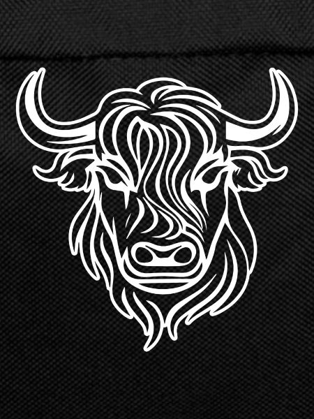 Scottish Highland cow
