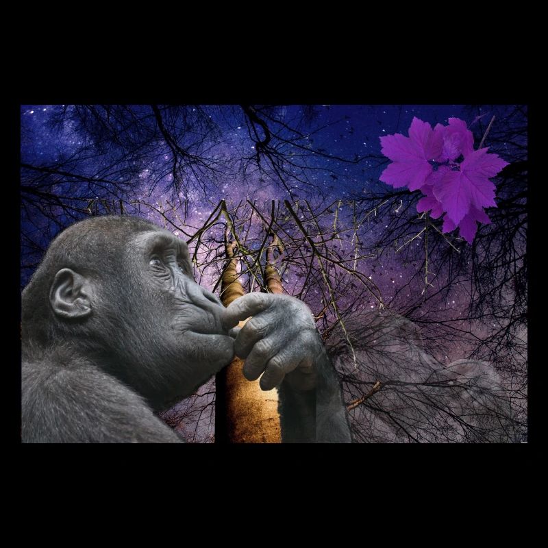 Singe.