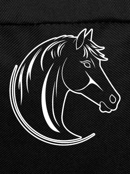 Pferd Pferdekopf Pony