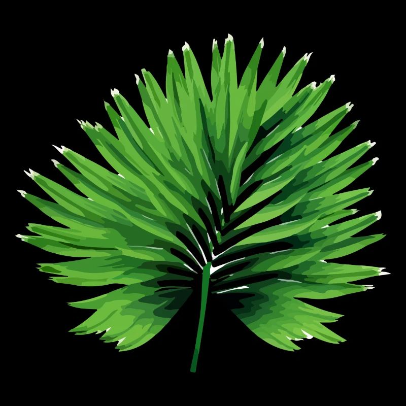 La feuille de palmier