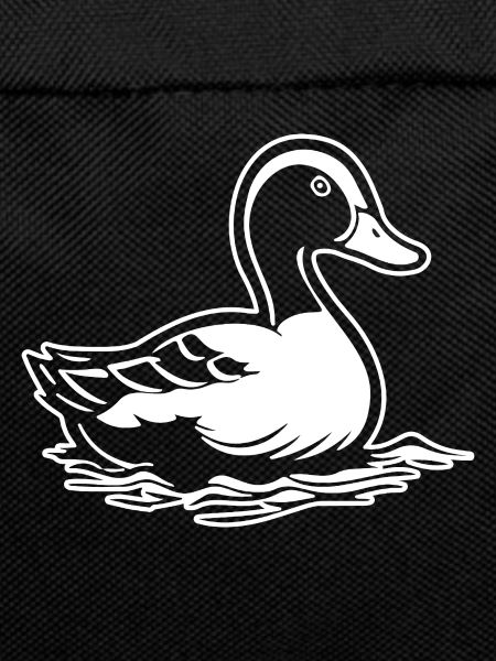 Duck Birds Ducks
