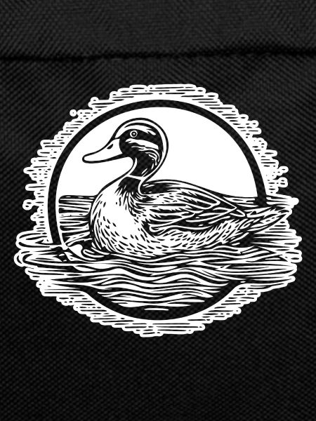 Duck Birds Ducks