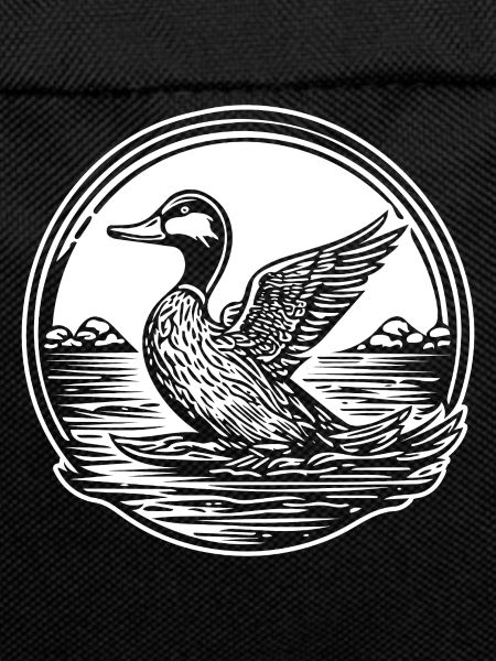 Duck Birds Ducks