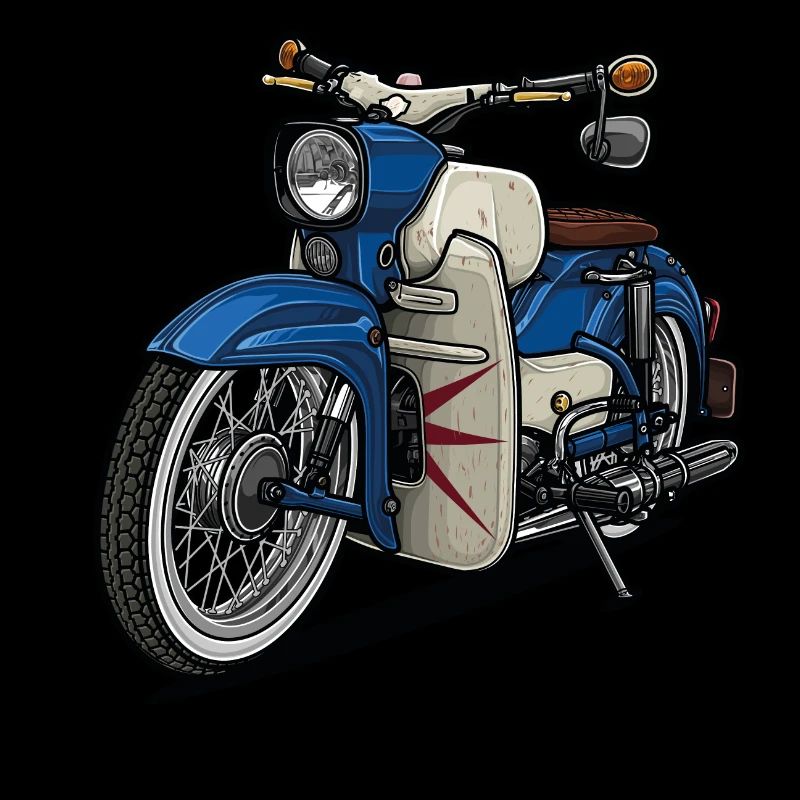 Sperber // Illustration