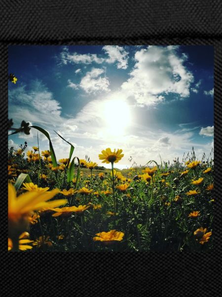 Blumenwiese