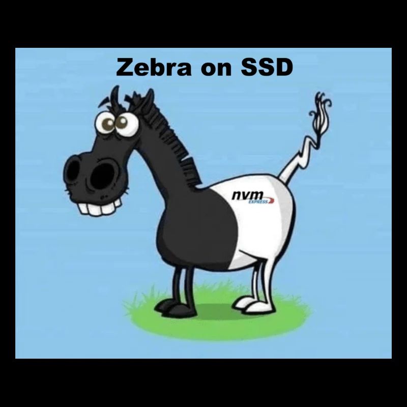 Zebra on SSD