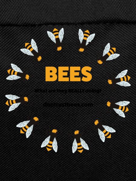 Bees - Conspiracy Theory