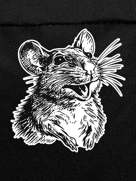 Rat, Mouse, Rodent, Rats