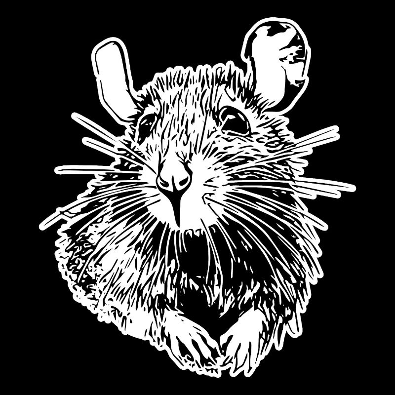 Rat, Mouse, Rodent, Rats
