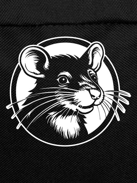 Rat, Mouse, Rodent, Rats