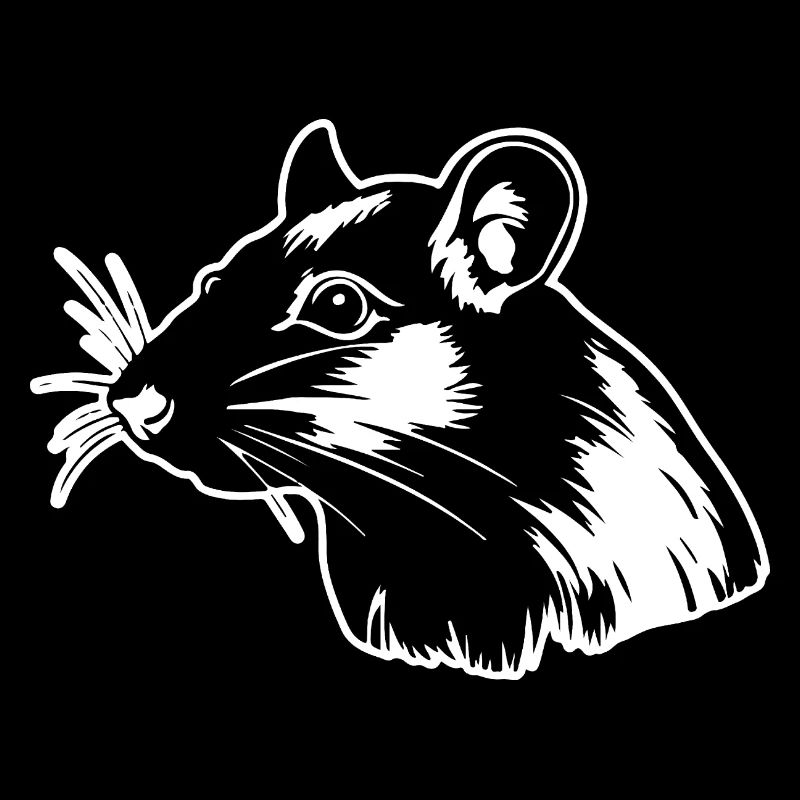 Rat, Mouse, Rodent, Rats