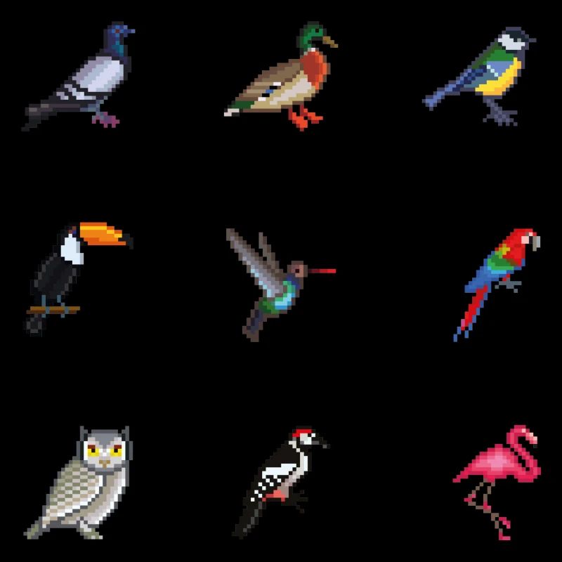 Vögel