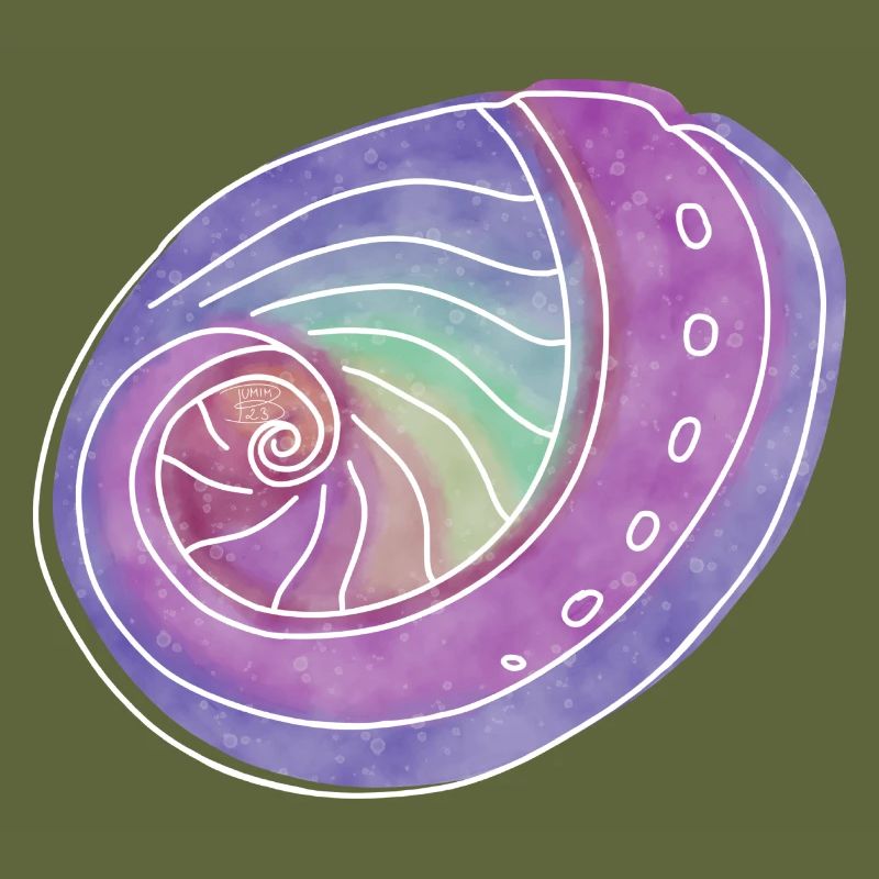 "Abalone", Boho Line Art Design, Serie "Shells"