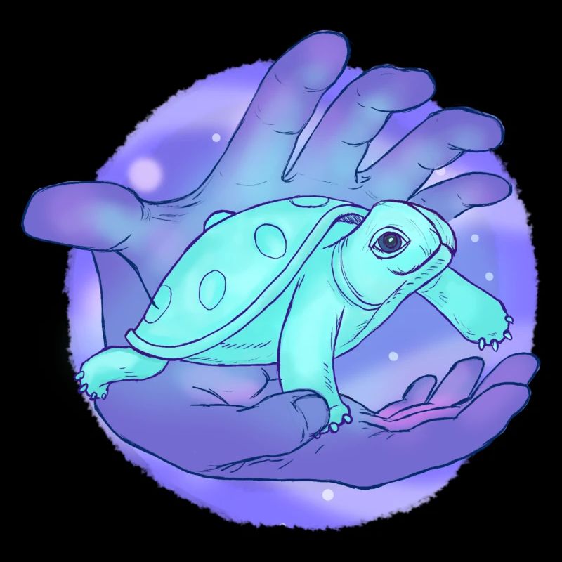 Cute Handpan Turtle