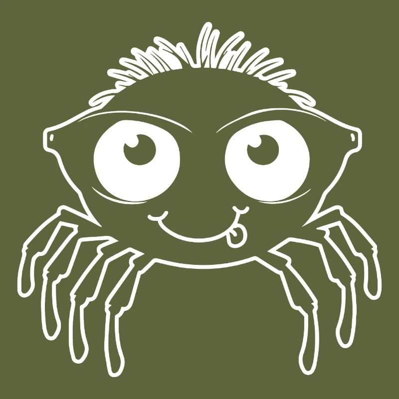Spider spiders animals