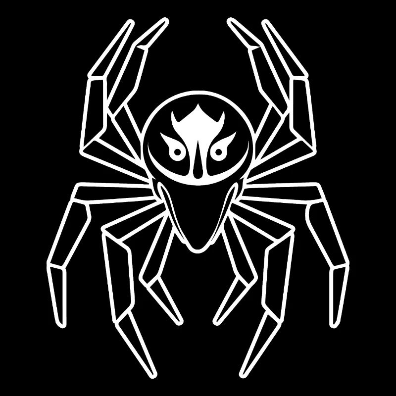Spinne Spinnen Tiere