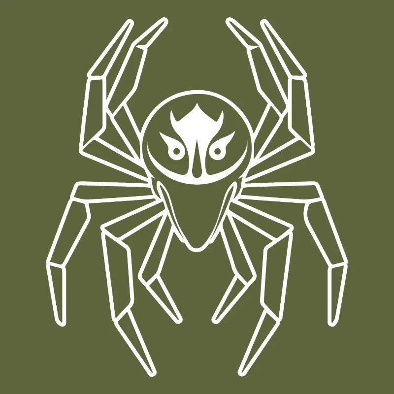 Spider spiders animals